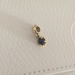 Pandora charm